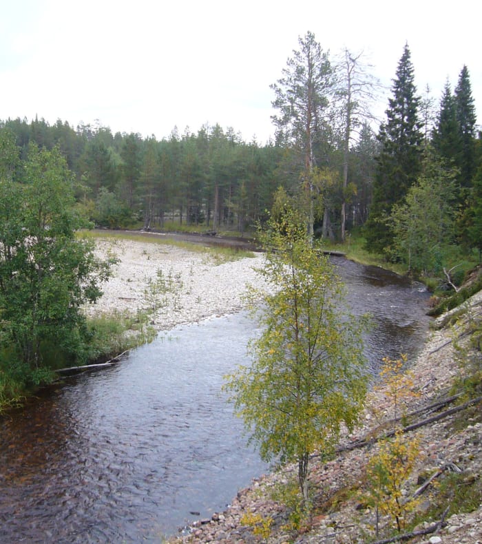 Échappée blanche en Finlande