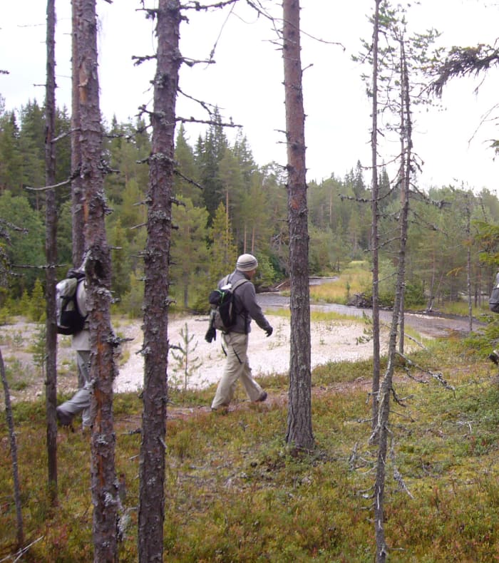 Échappée blanche en Finlande