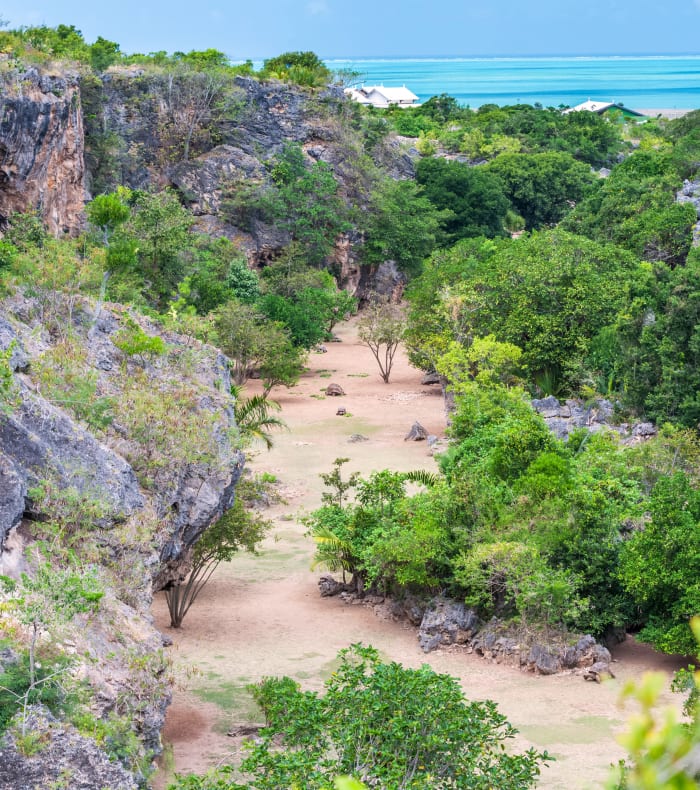 Île Rodrigues, perle de l'océan