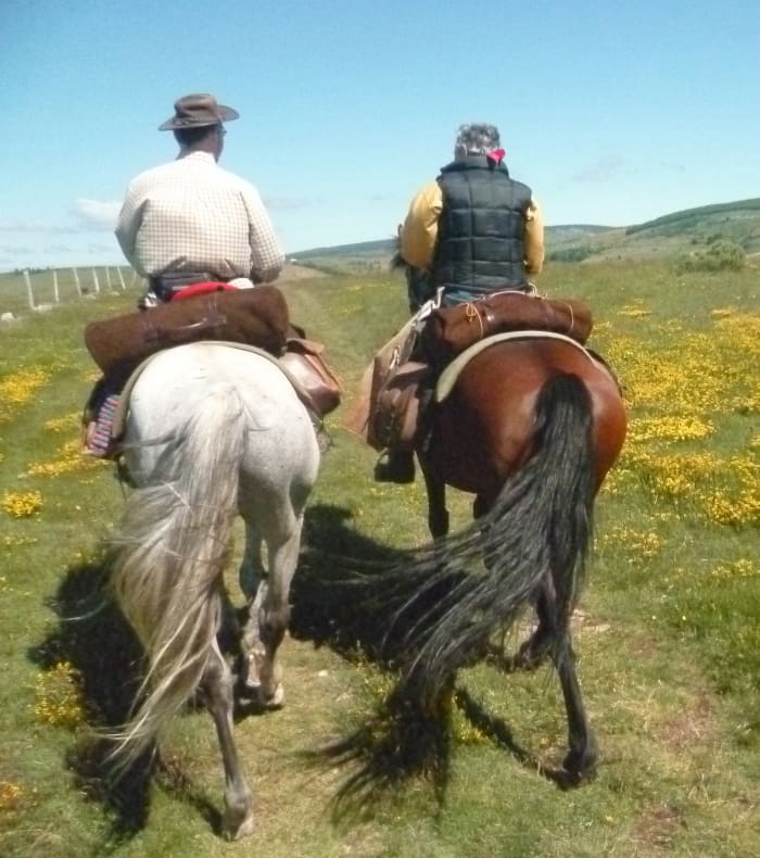  Voyage à cheval en Lozère