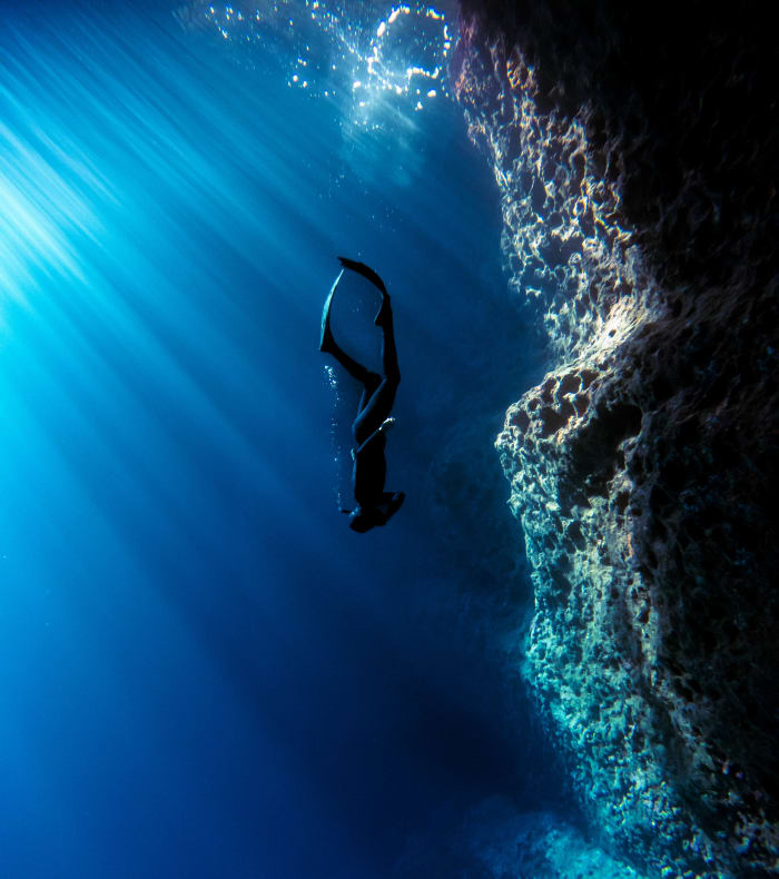 Apnée & Découverte