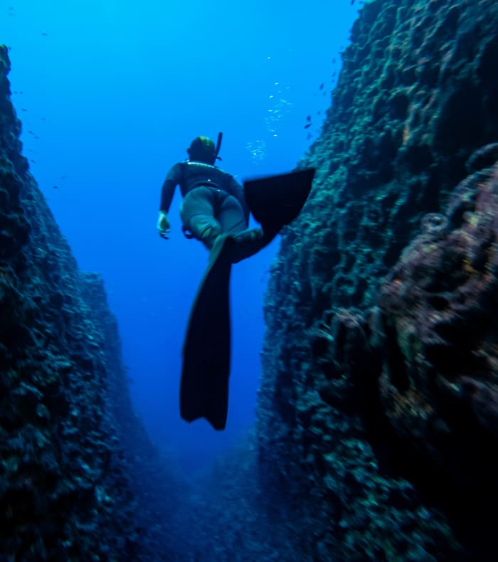 Apnée & Découverte