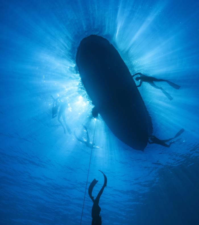 Apnée & Découverte