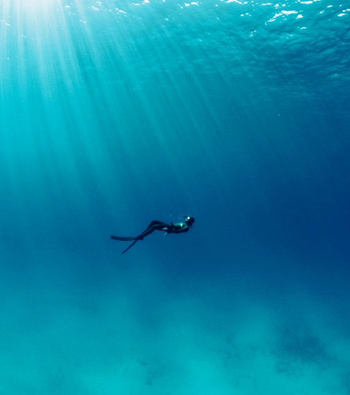 Fridykning & Oplevelse