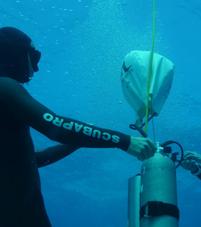 5 dages fridykning – videregående