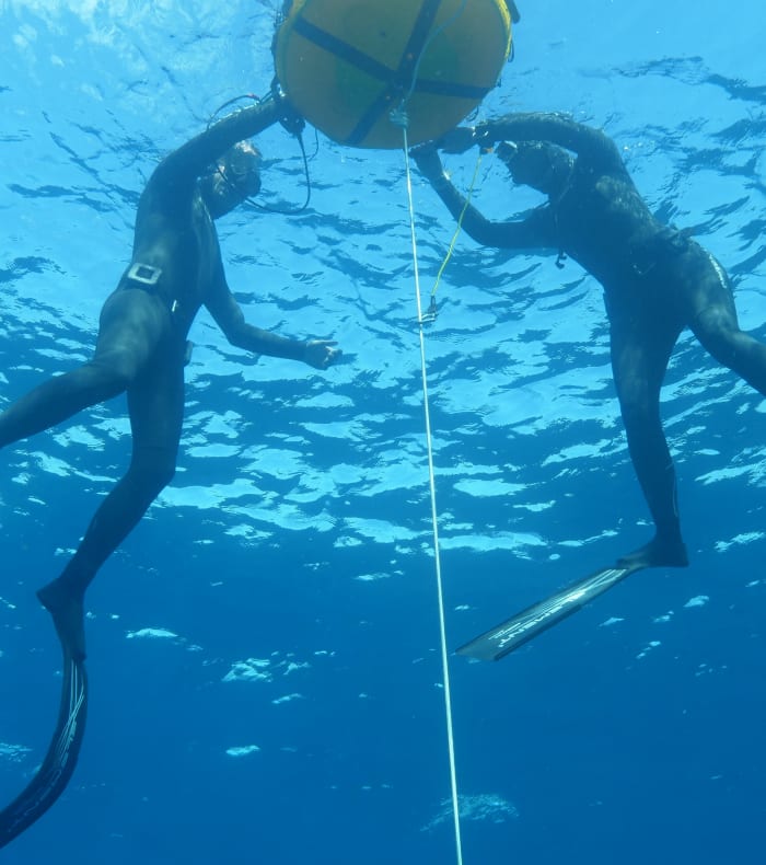 Apnée Perfectionnement 7 jours