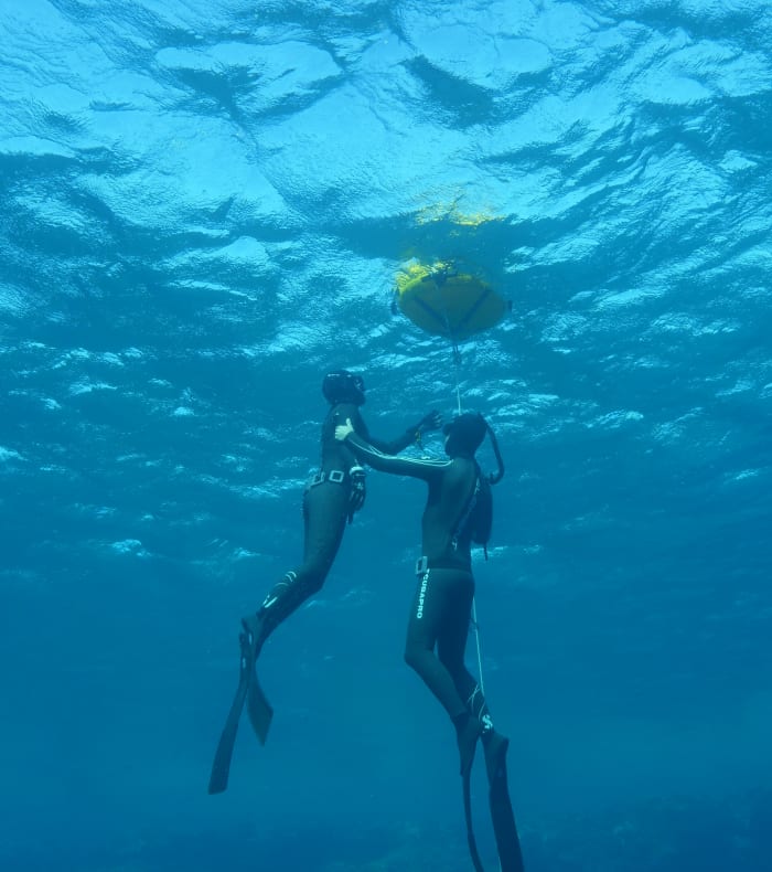 Apnée Perfectionnement 7 jours