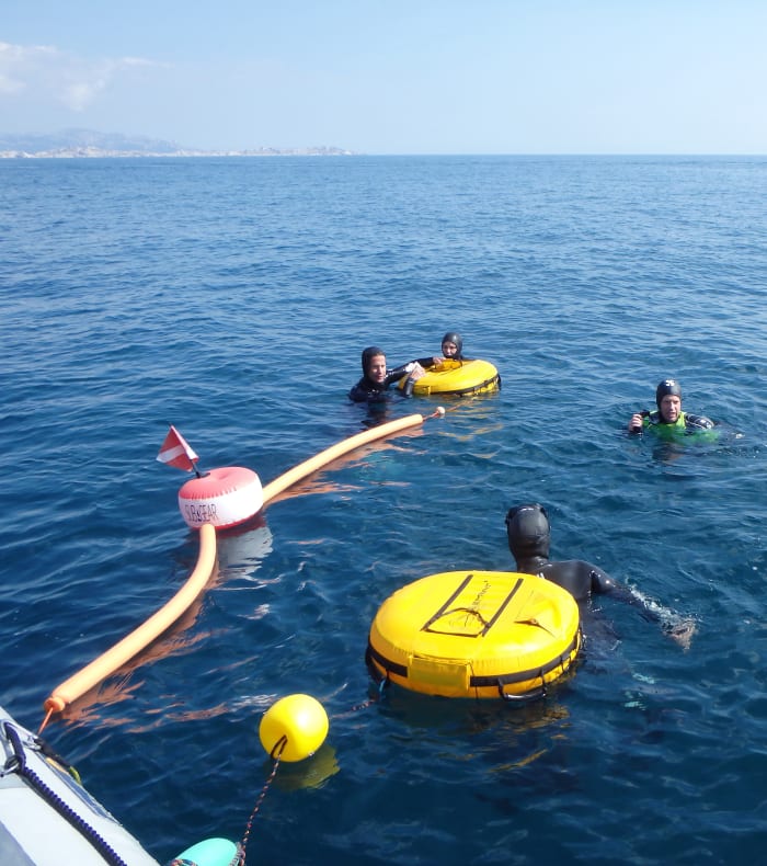 Apnø Forbedring 7 dage