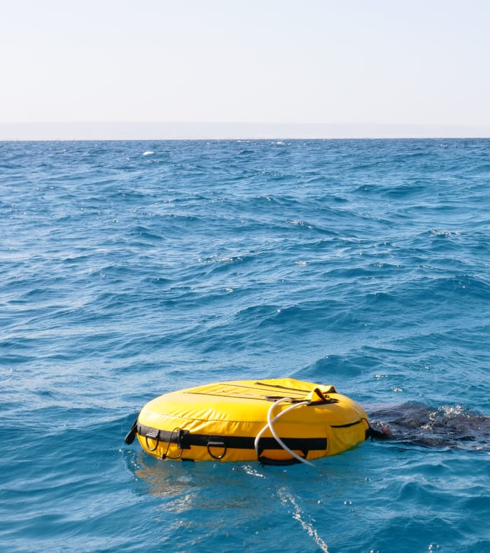 Apnée Perfectionnement 8 jours