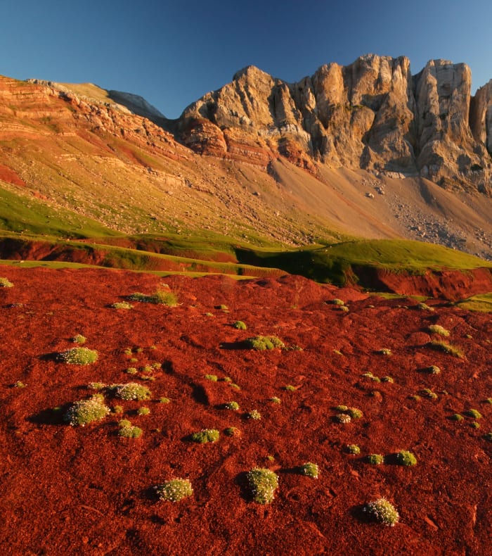 Aragon, colorado pyrénéen