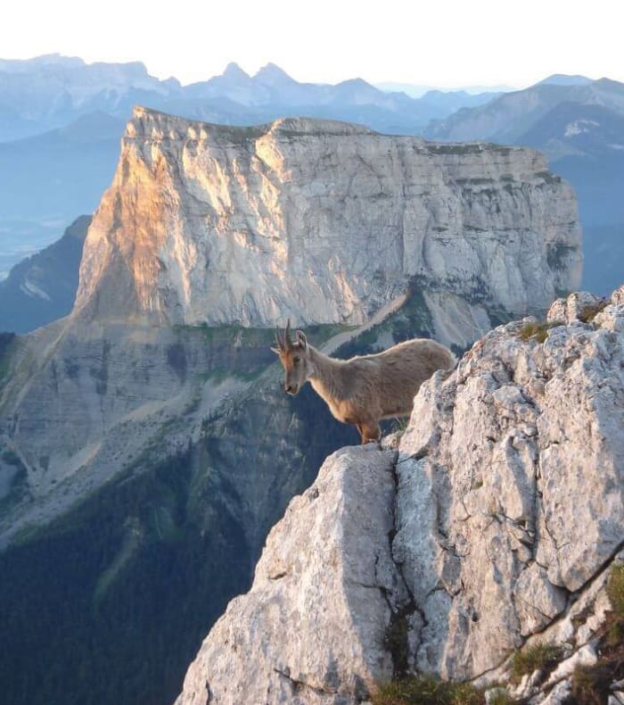 Ascension du Mont Aiguille