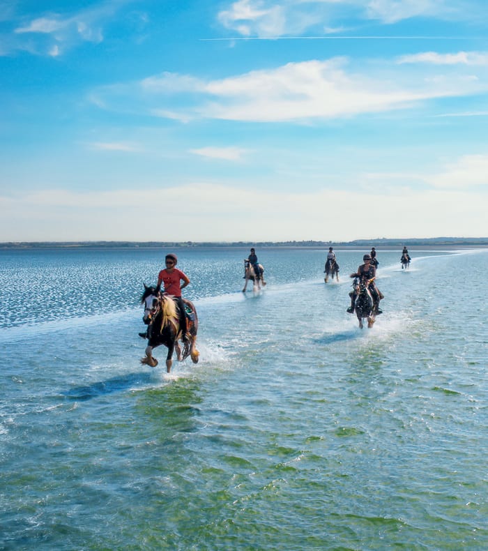 Aventure équestre : Le Mont-Saint-Michel à cheval