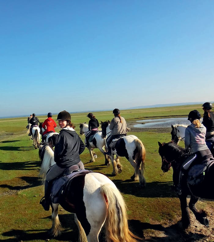Aventure équestre : Le Mont-Saint-Michel à cheval