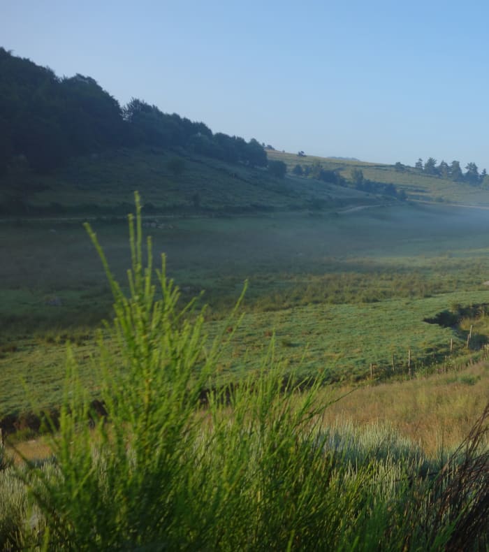 Aventure équestre sur le Mont Lozère 