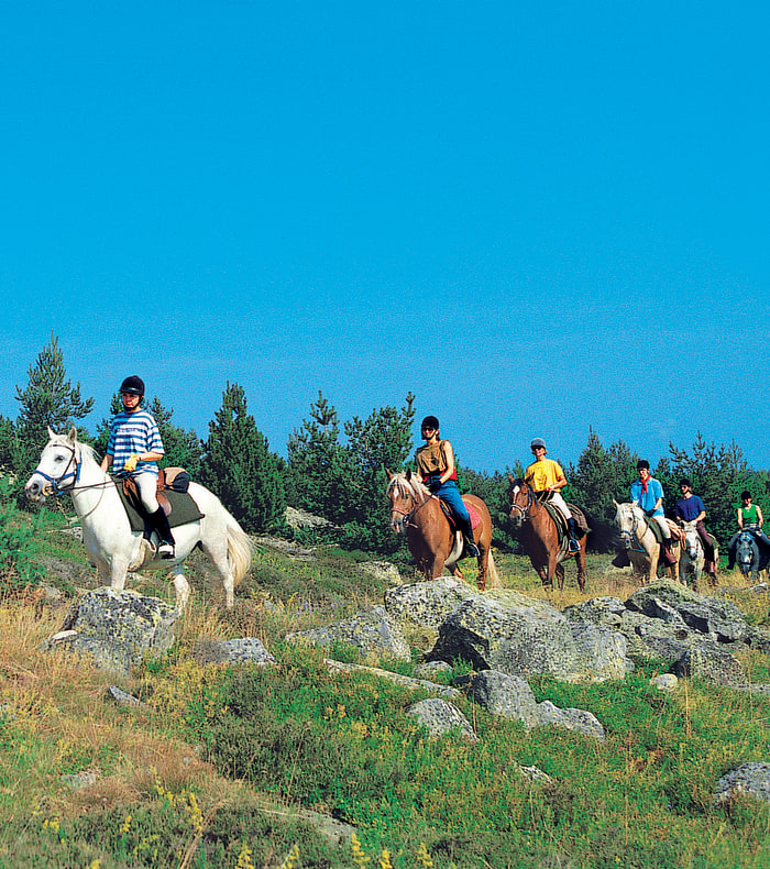 Aventure équestre sur le Mont Lozère 