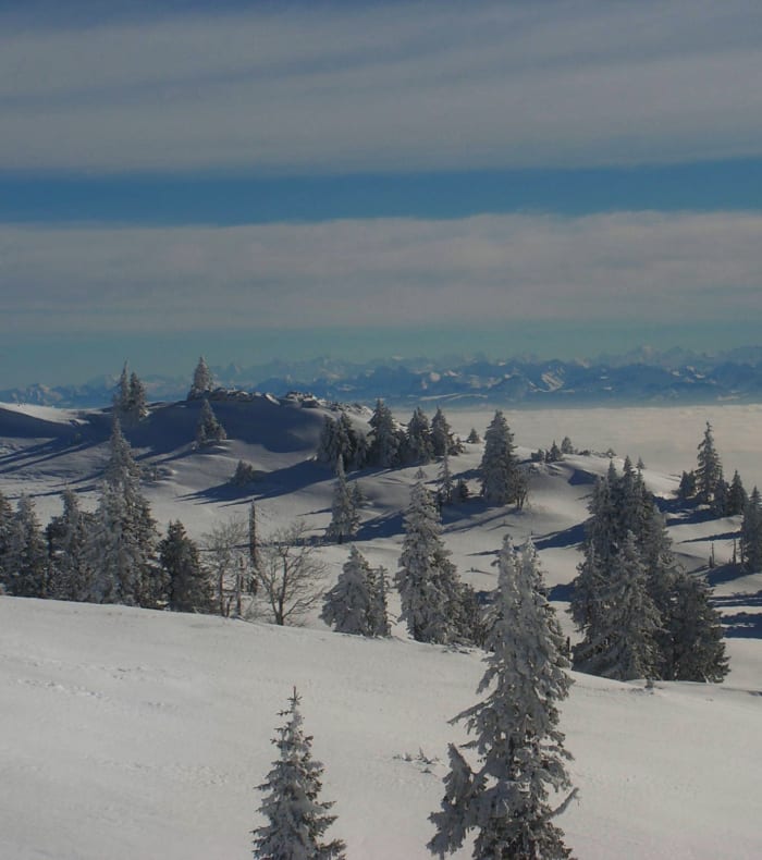 Aventure hivernale en raquettes et pulka dans le Jura