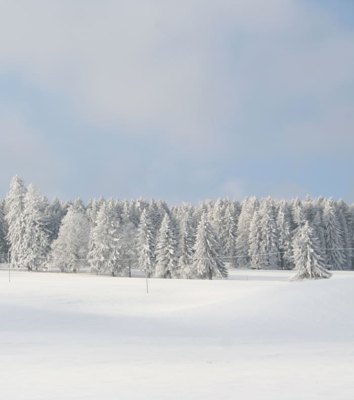 Aventure hivernale en raquettes et pulka dans le Jura