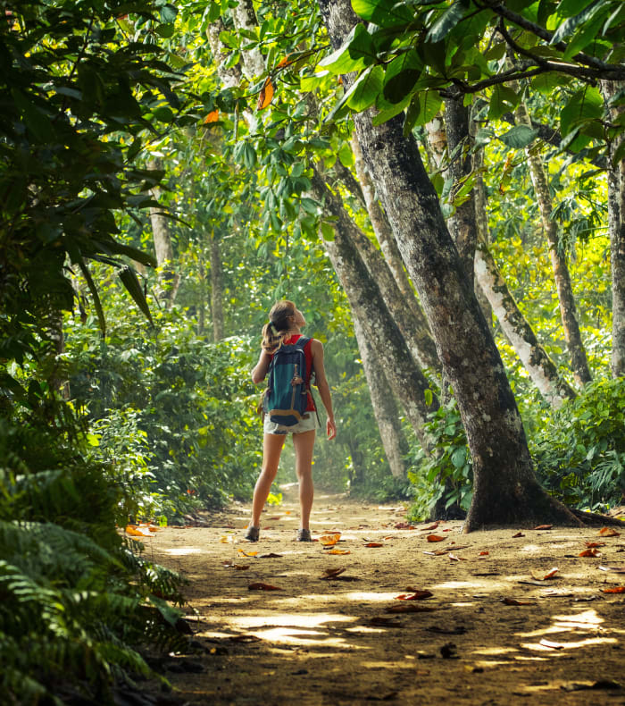 Aventure tropicale 14 jours