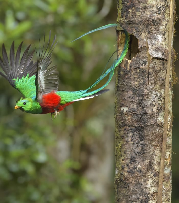 Aventure tropicale 14 jours