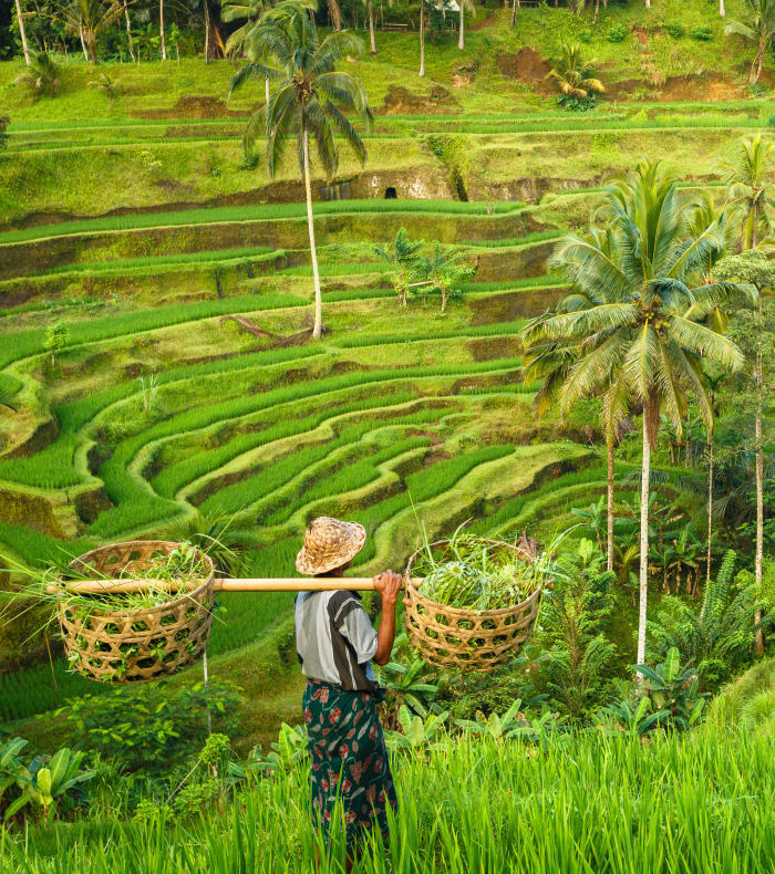 Eventyr på Bali - Dagreturflyvning