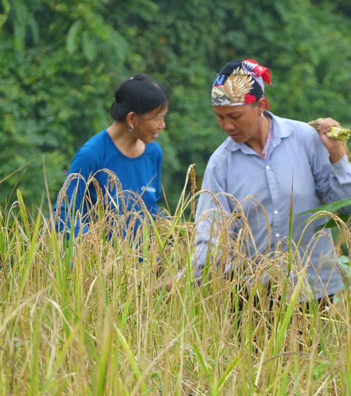 Aventures au Tonkin - 13 nuits
