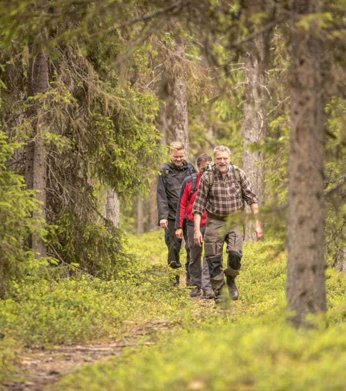 Aventures en laponie
