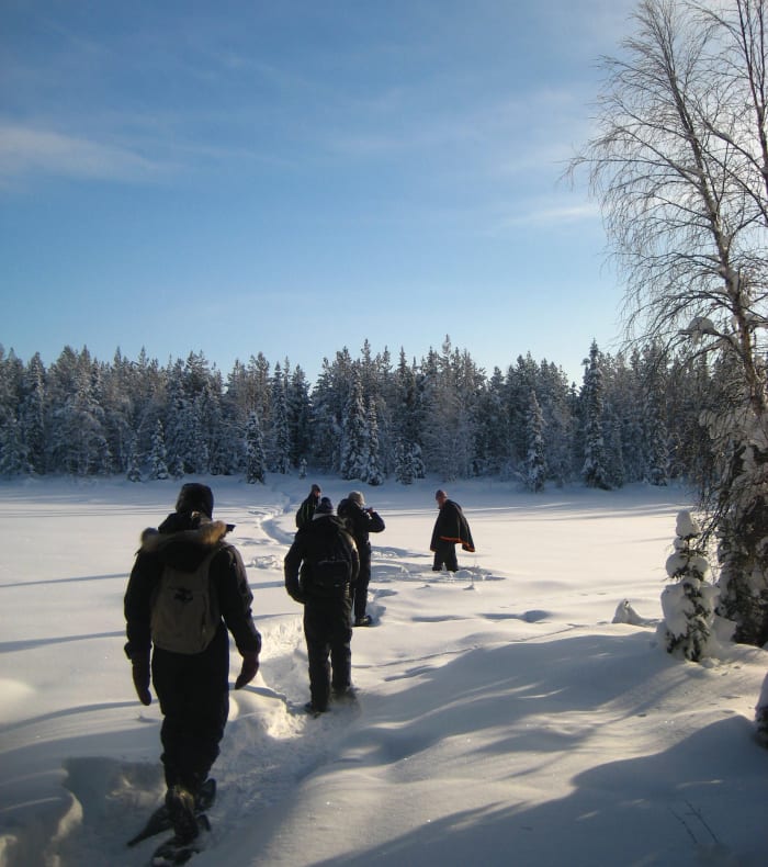 Aventures et aurores boréales en Laponie