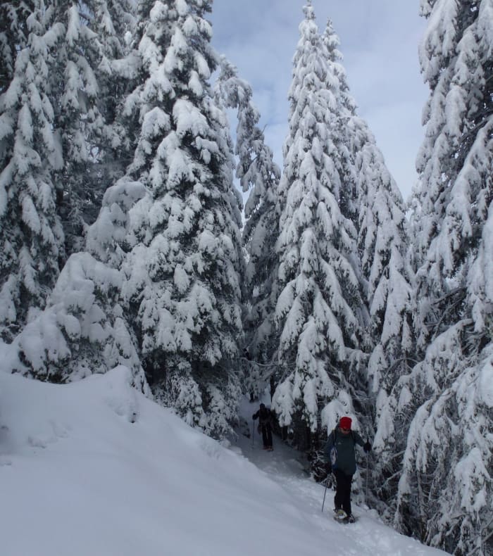 Aventures hivernales en Belledonne