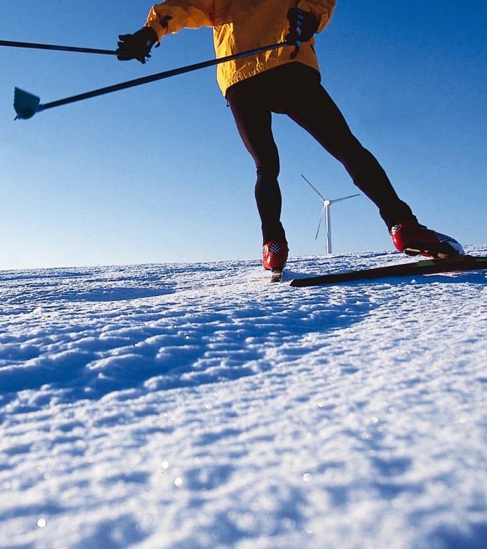 Biathlon / Skating perfectionnement