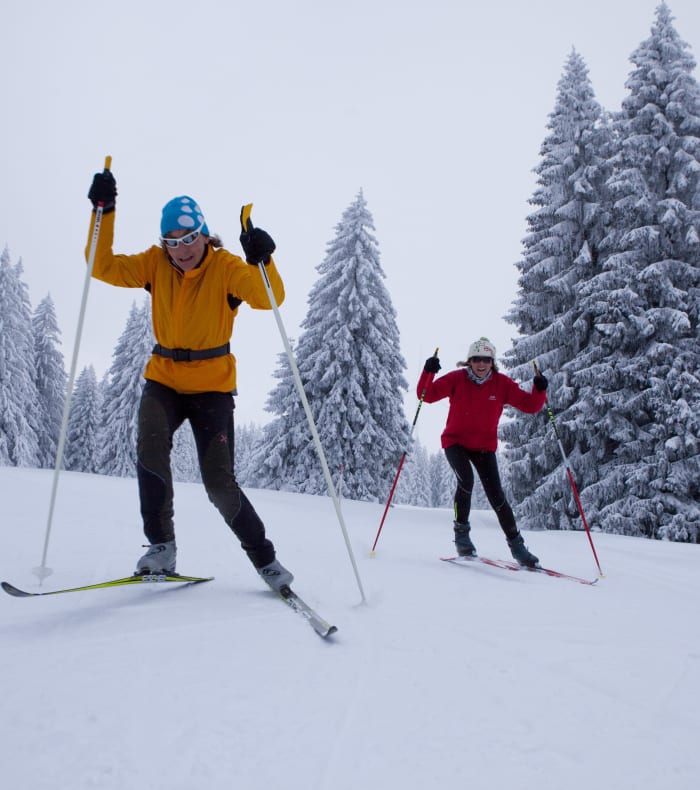 Biathlon / Skating perfectionnement