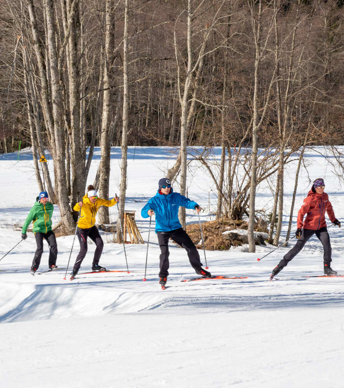 Biathlon perfectionnement/ski alpin