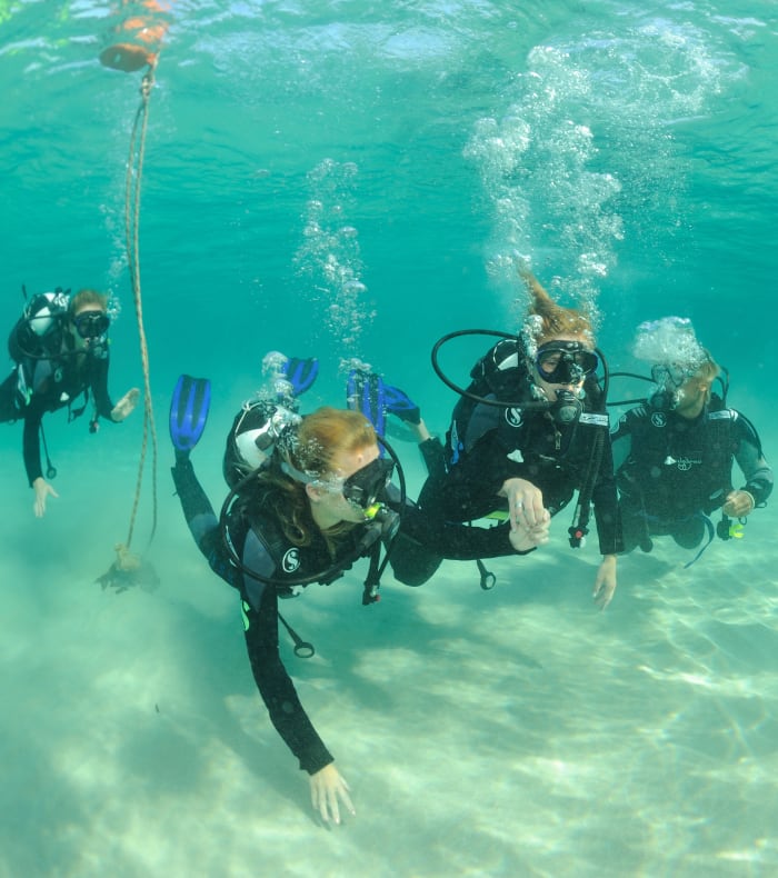 3-dages pause - Dyk for begyndere