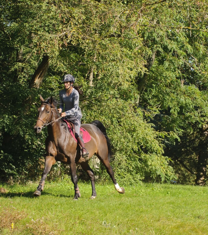 Break 3 jours Équitation perfectionnement - Sans hébergement