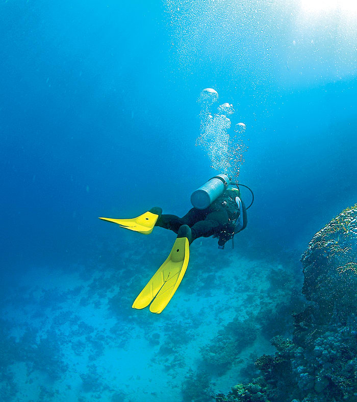 3 dages dykkerudflugt Calanques Nationalpark