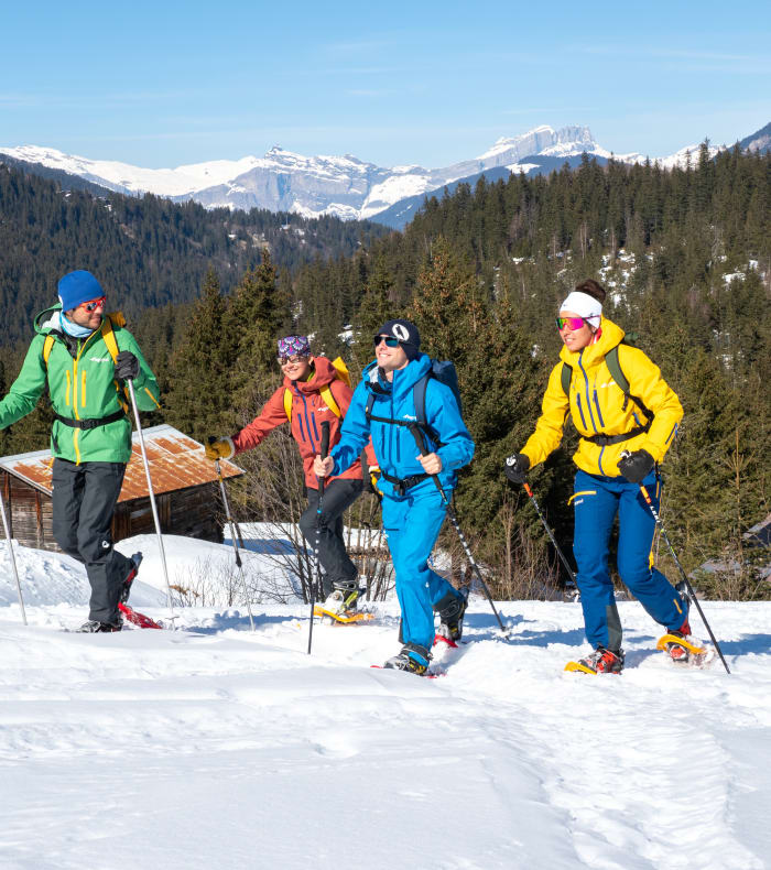 Break 3 jours raquettes Alpes du sud
