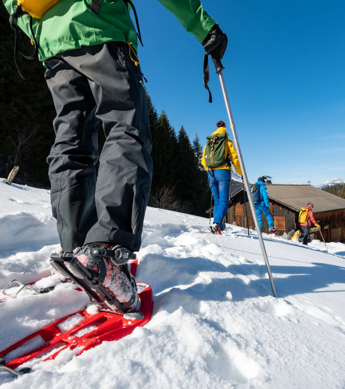 3 dages skovturs-ferie i de sydlige alper