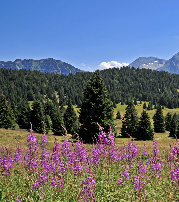 Break 3 massifs : Belledonne, Chartreuse, Bauges
