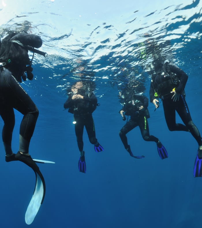 Miniferie 4 dage 4 nætter Dybdegående udforskning af Port Cros Nationalpark