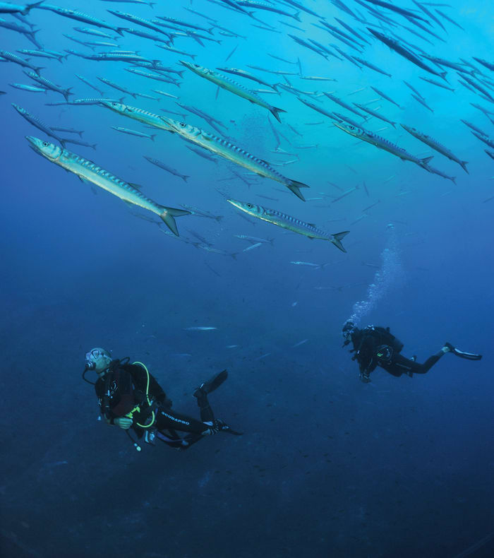 Break 4 jours 4 nuits Plongée Autonome