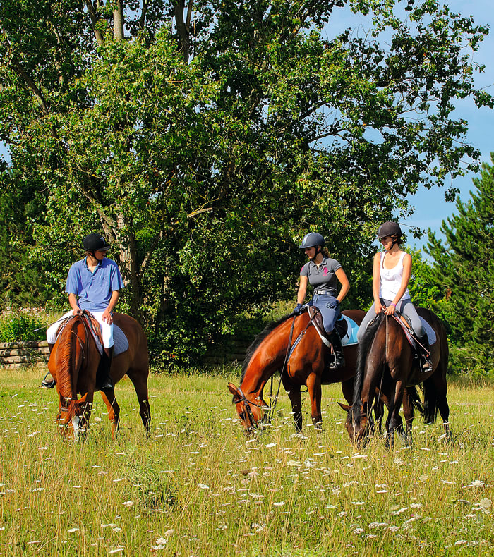 Break 4 jours Equitation spécial débutant - Sans hébergement