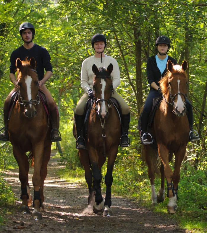 Break 4 jours Equitation spécial débutant - Sans hébergement