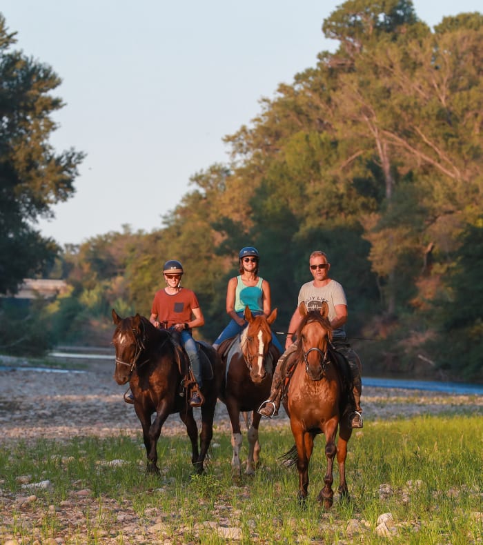 Break 4 dage ridesport, specielbegynder - Uden overnatning