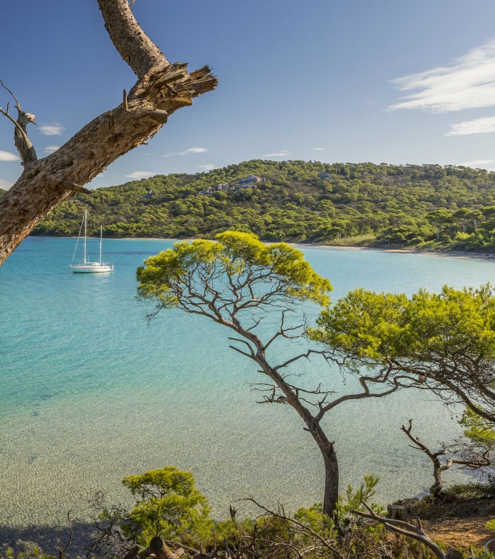 Break 4 jours Plongée exploration Giens et Porquerolles