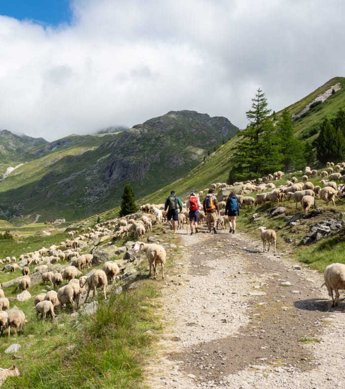 Break 4 jours Serre Che rando et découverte