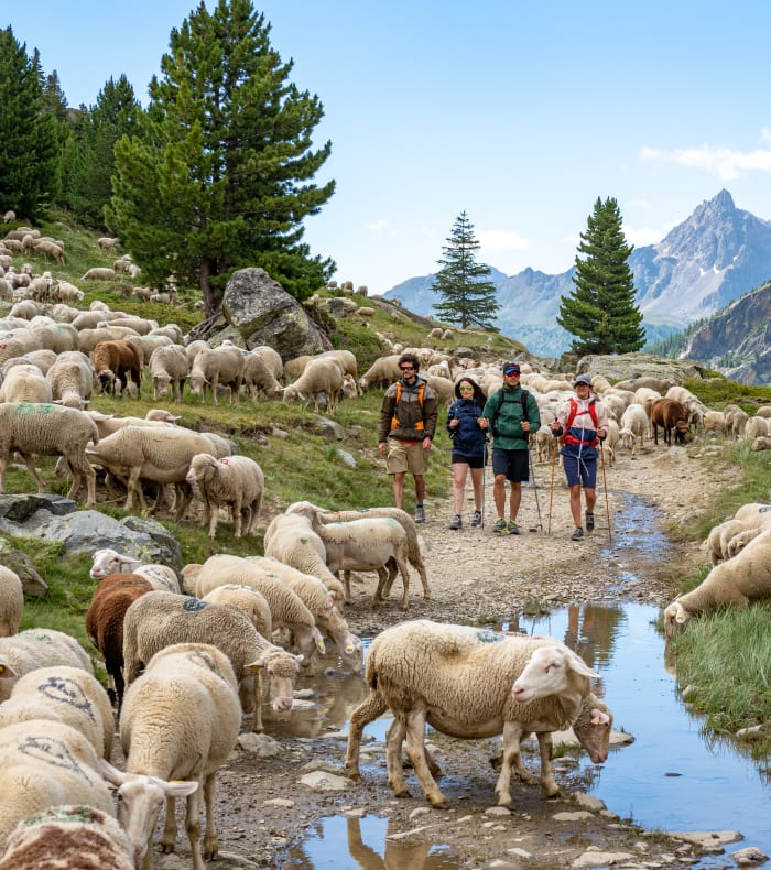 Break 4 jours Serre Che rando et découverte
