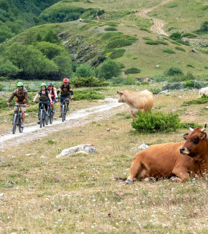 Break 4J Serre Che Découverte Enduro VTT