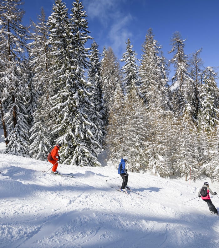 5 dages skiferie Deltidspakke