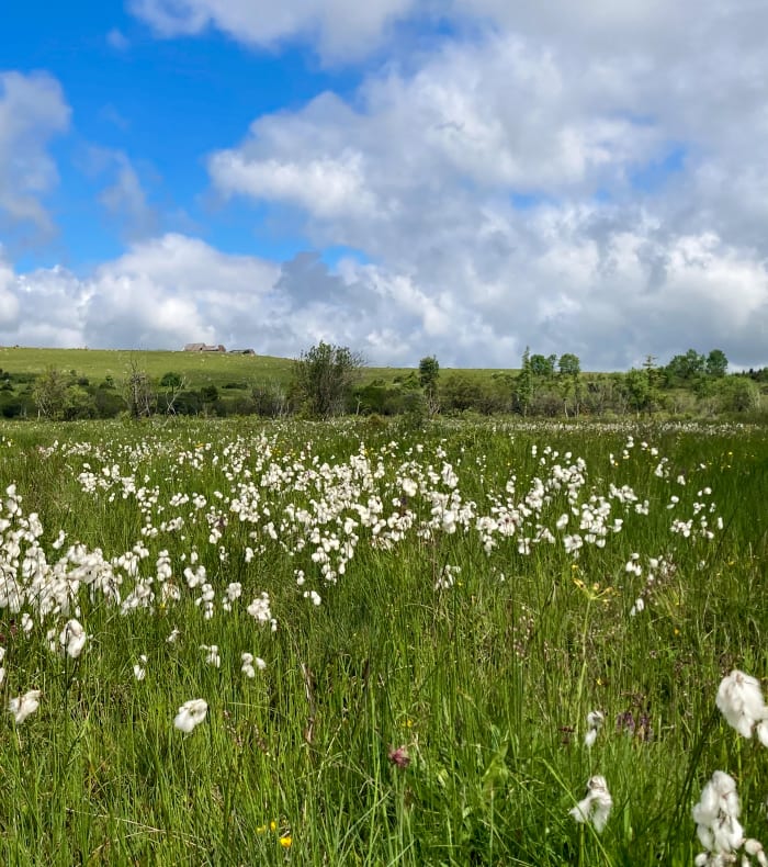 Break Nouvel An dans les Vosges, au pied du Hohneck