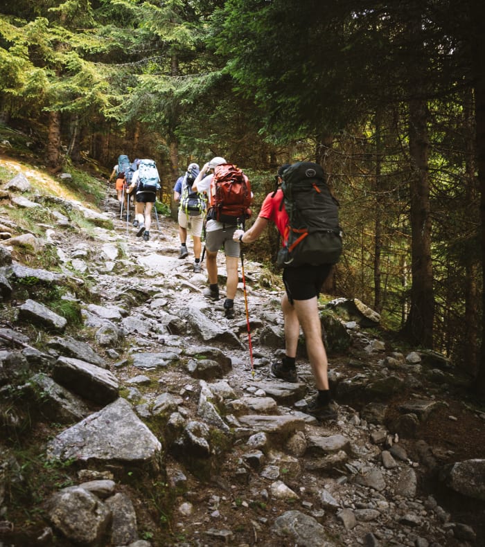 Break sur les alpages secrets des 7 Laux