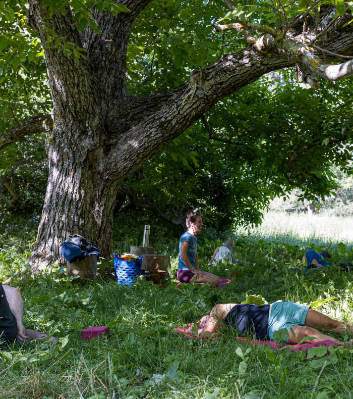 Klatre- / Yogacamp på 5 dage